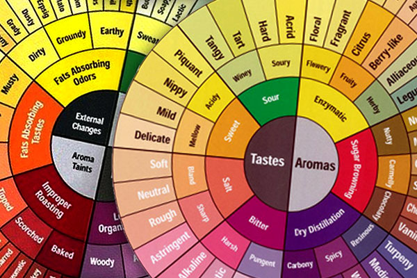 Taste, Flavor & Quality of Life